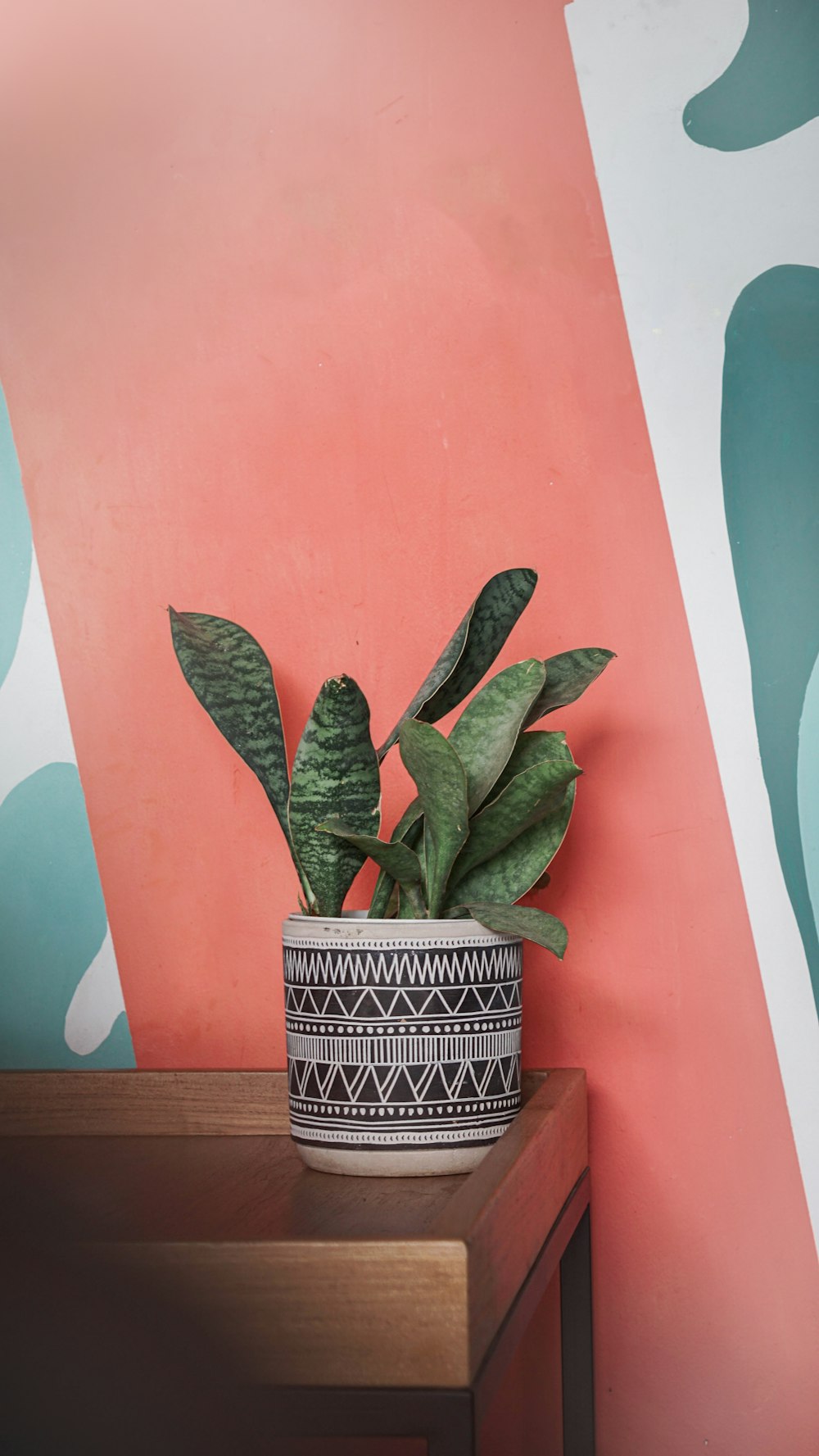 a potted plant sitting on top of a wooden table