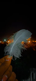 Close-up of a hand holding a feather teasing a bare shoulder in dim, moody lighting.