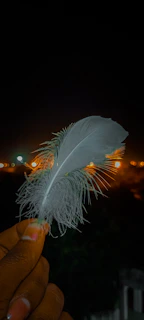 A hand holding a delicate feather, with a soft glow hinting at its magical significance.