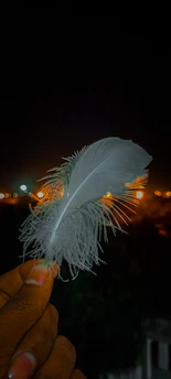 Softly lit hands holding a glowing feather against a muted lavender background.