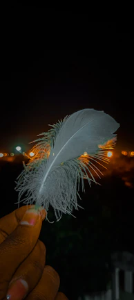 Delicate hands holding sensual feather ticklers against a muted background.