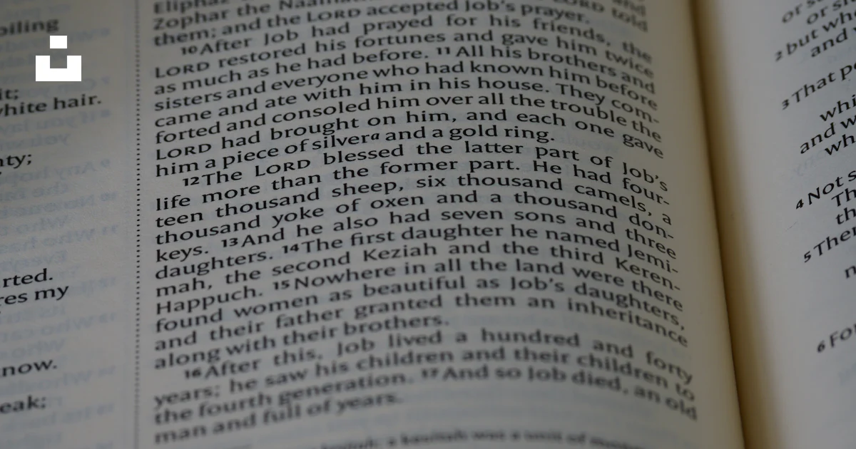 Script Image Open Book A close up of an open book with text photo – Free Grey Image on Unsplash