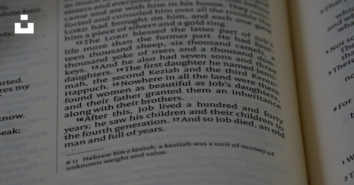 Script Image Open Book A close up of an open book with text photo – Free Grey Image on Unsplash