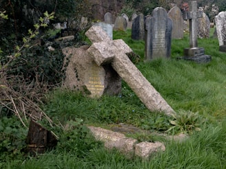 A graveyard scene with multiple old tombstones set in a grassy area. One prominent gravestone is a weathered stone cross that has fallen and rests against a rounded stone slab. The cemetery is overgrown with vegetation, and some of the gravestones feature engraved text, partially obscured by time and nature.