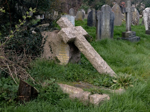 A graveyard scene with multiple old tombstones set in a grassy area. One prominent gravestone is a weathered stone cross that has fallen and rests against a rounded stone slab. The cemetery is overgrown with vegetation, and some of the gravestones feature engraved text, partially obscured by time and nature.