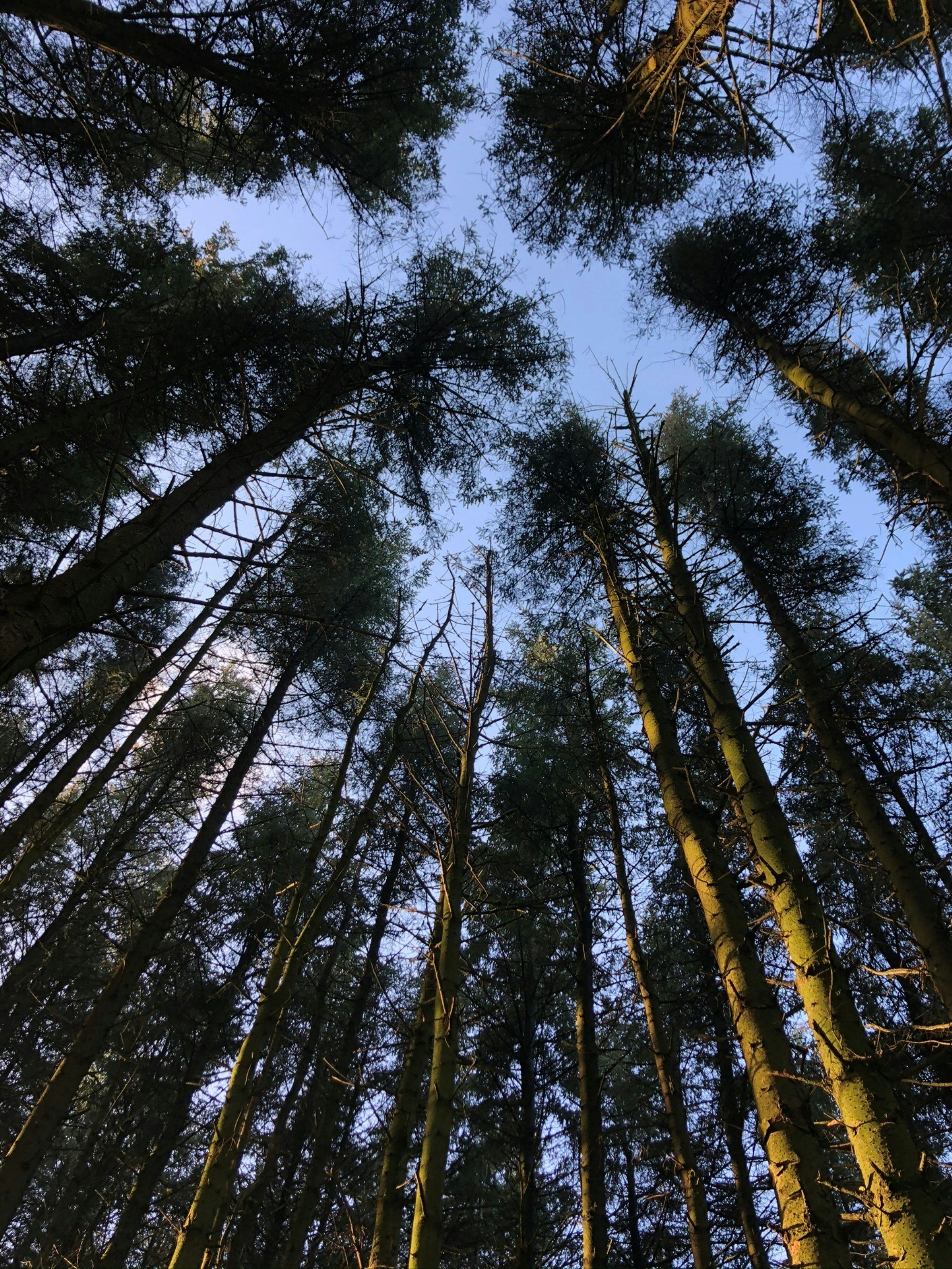 Photo by grace_photography01