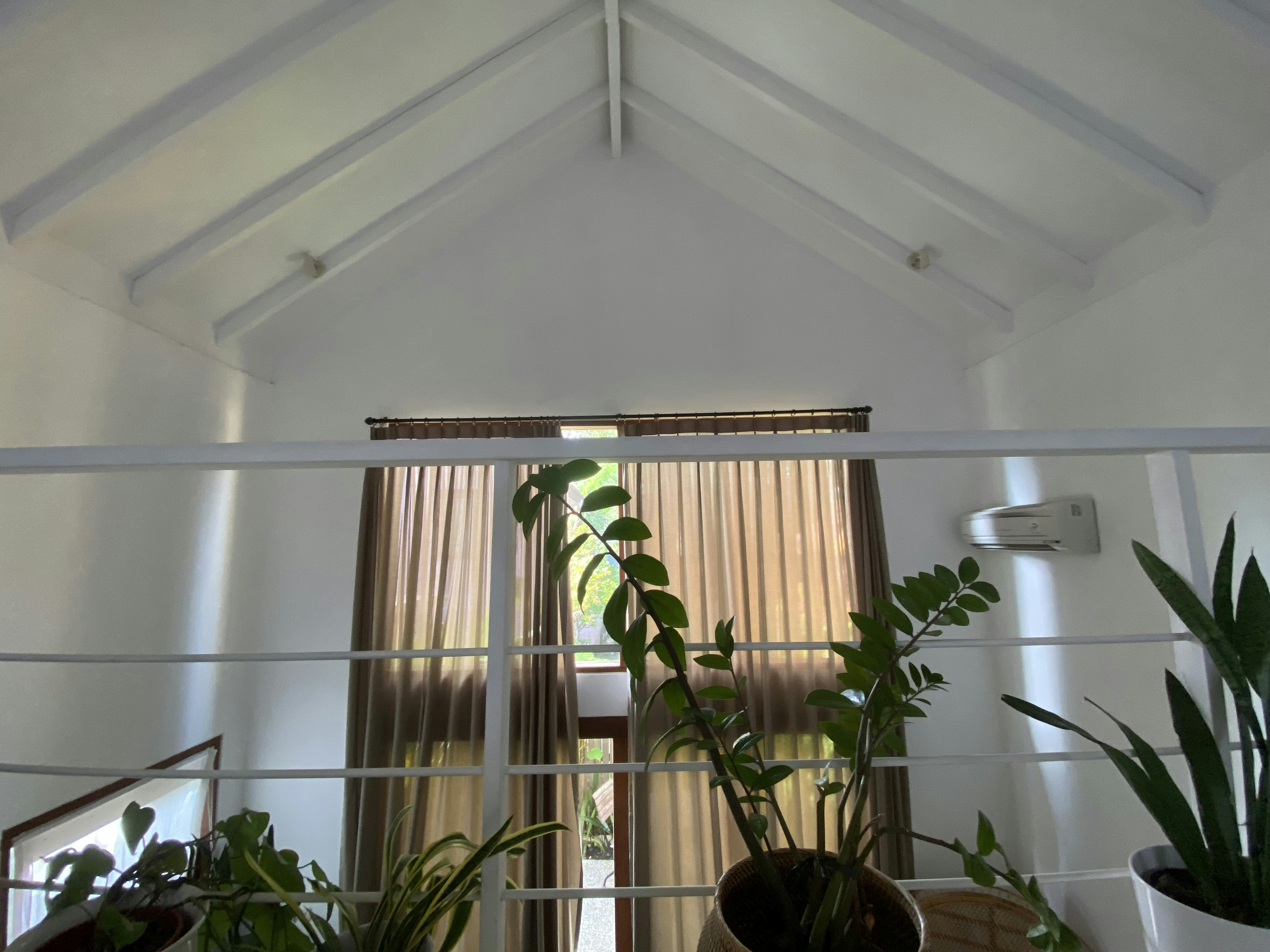 a room with a window and a plant in it