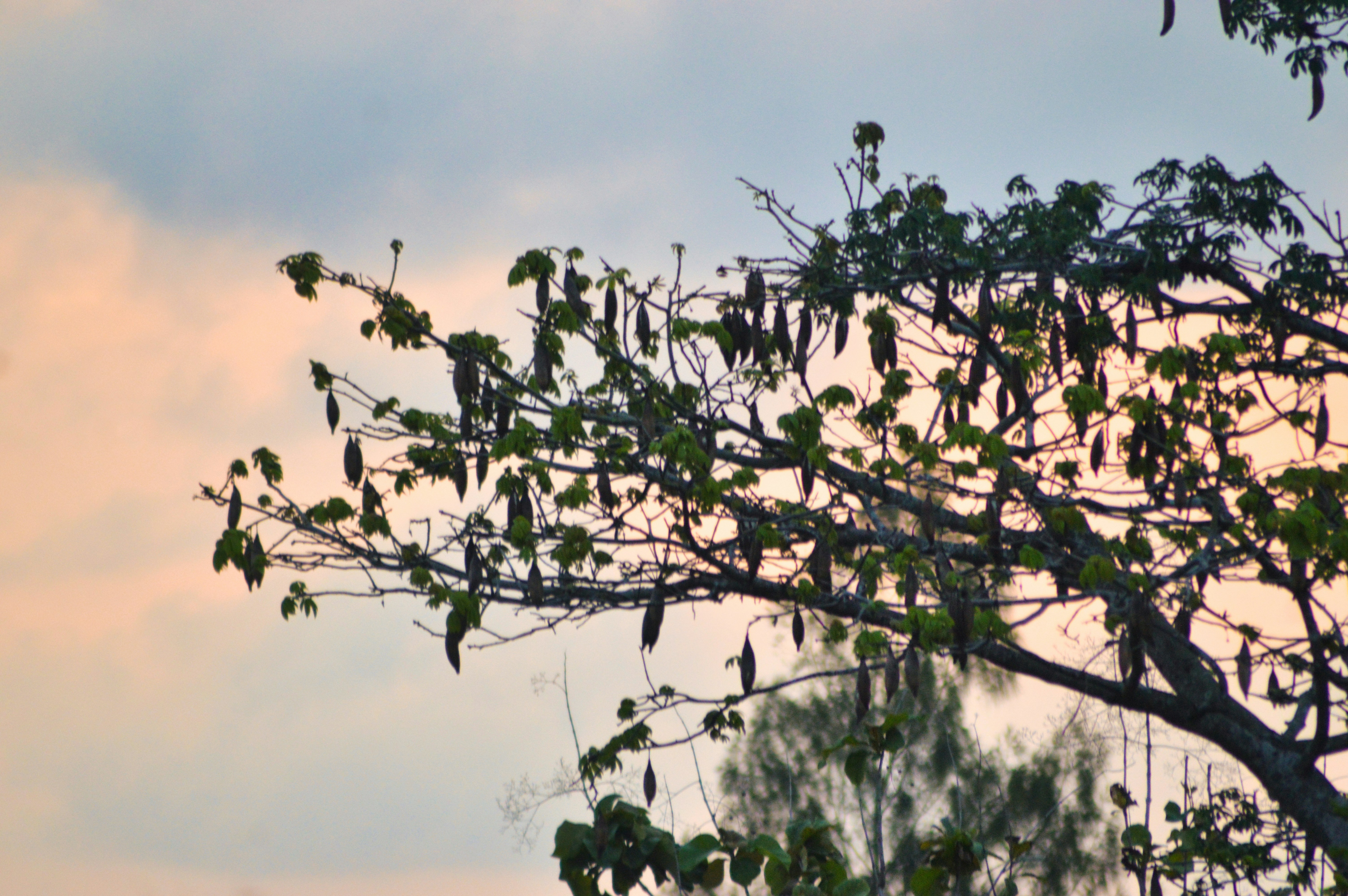 Photo by visualbywahyu