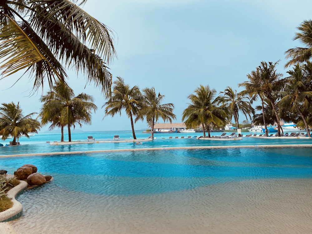 a large swimming pool surrounded by palm trees