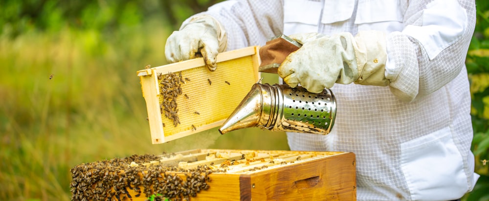 Ein Mann im Bienenanzug gießt Honig in einen Bienenstock