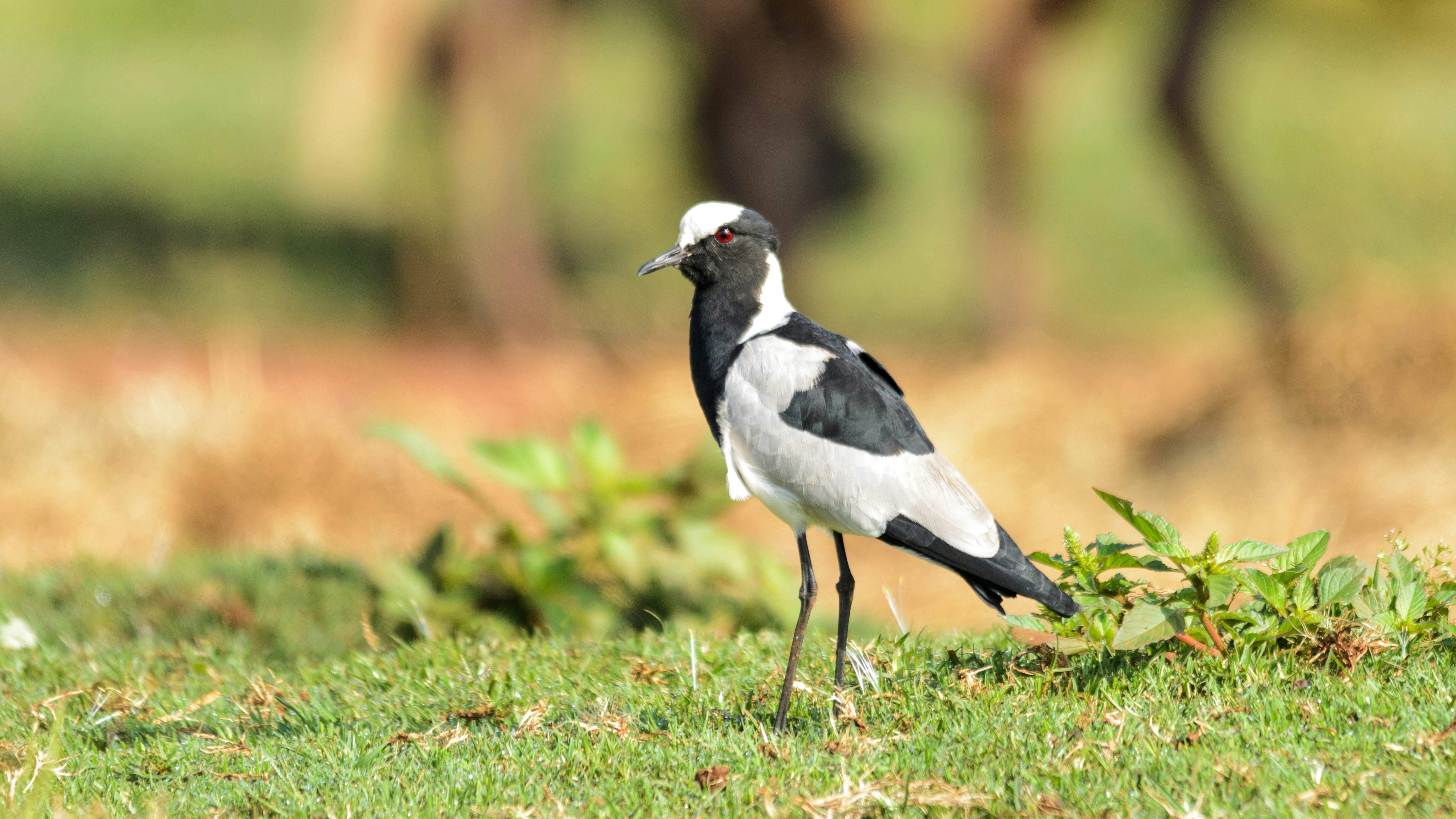 Photo by stewardesign