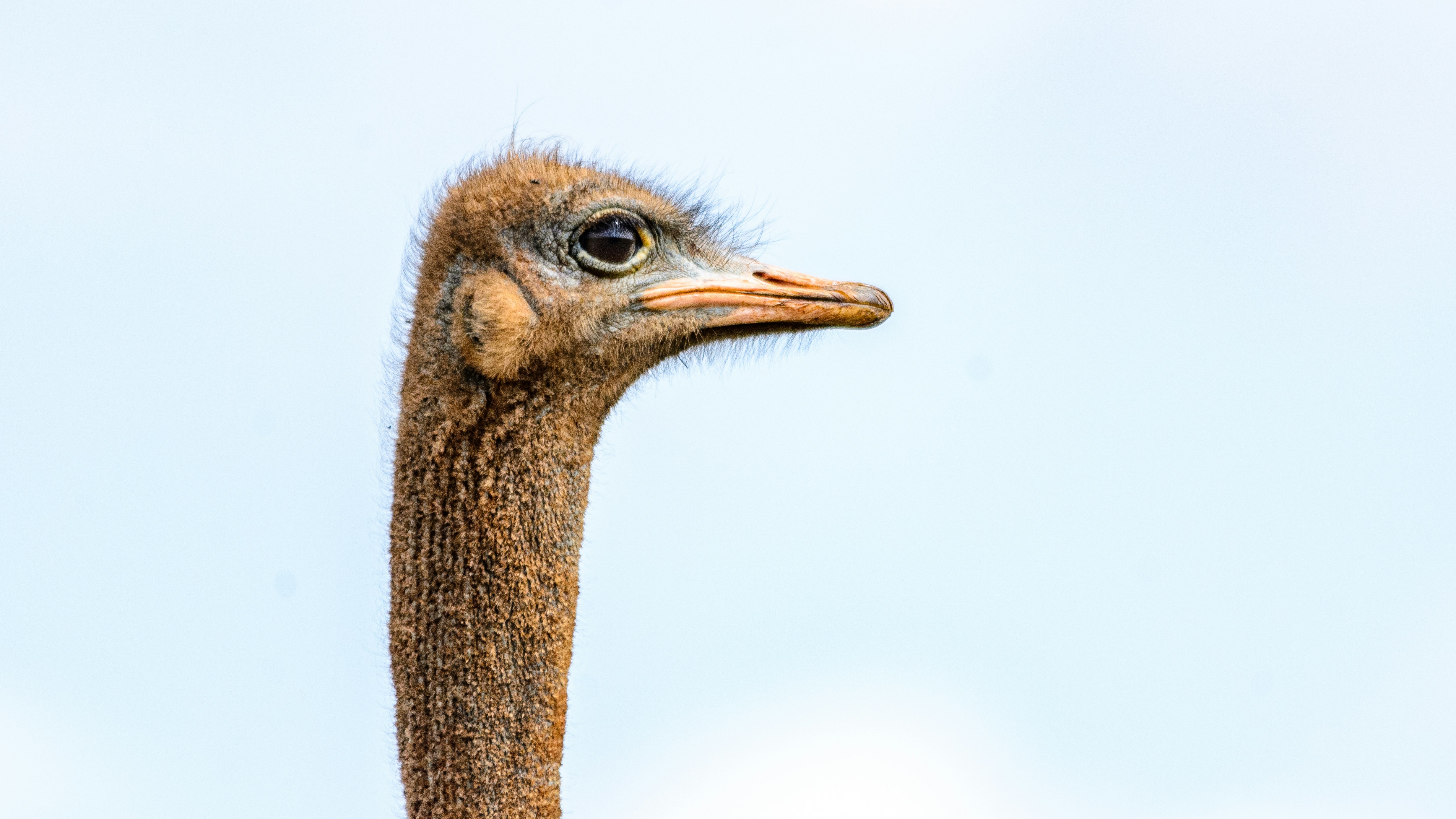 Photo by stewardesign