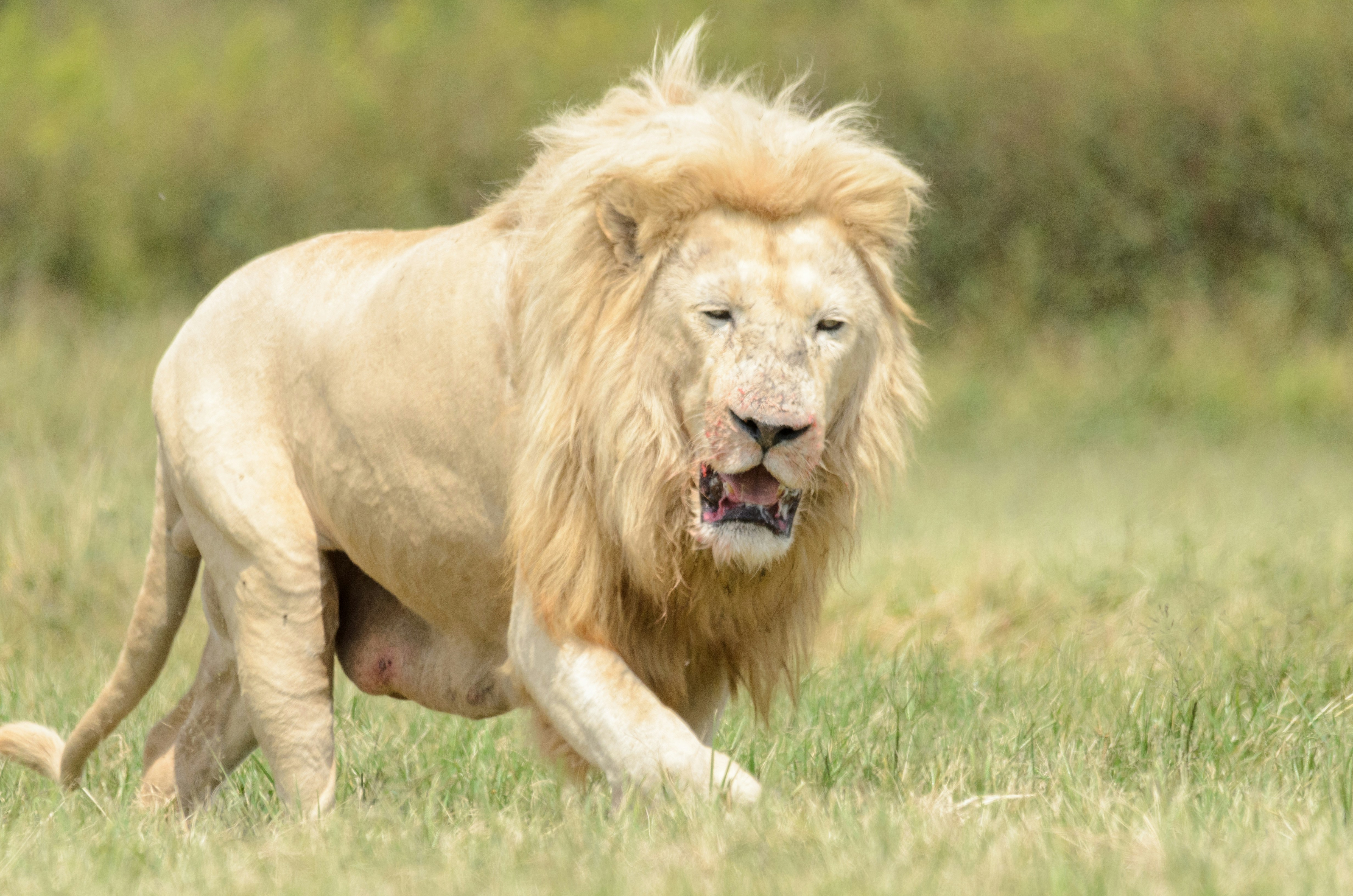 Photo by stewardesign