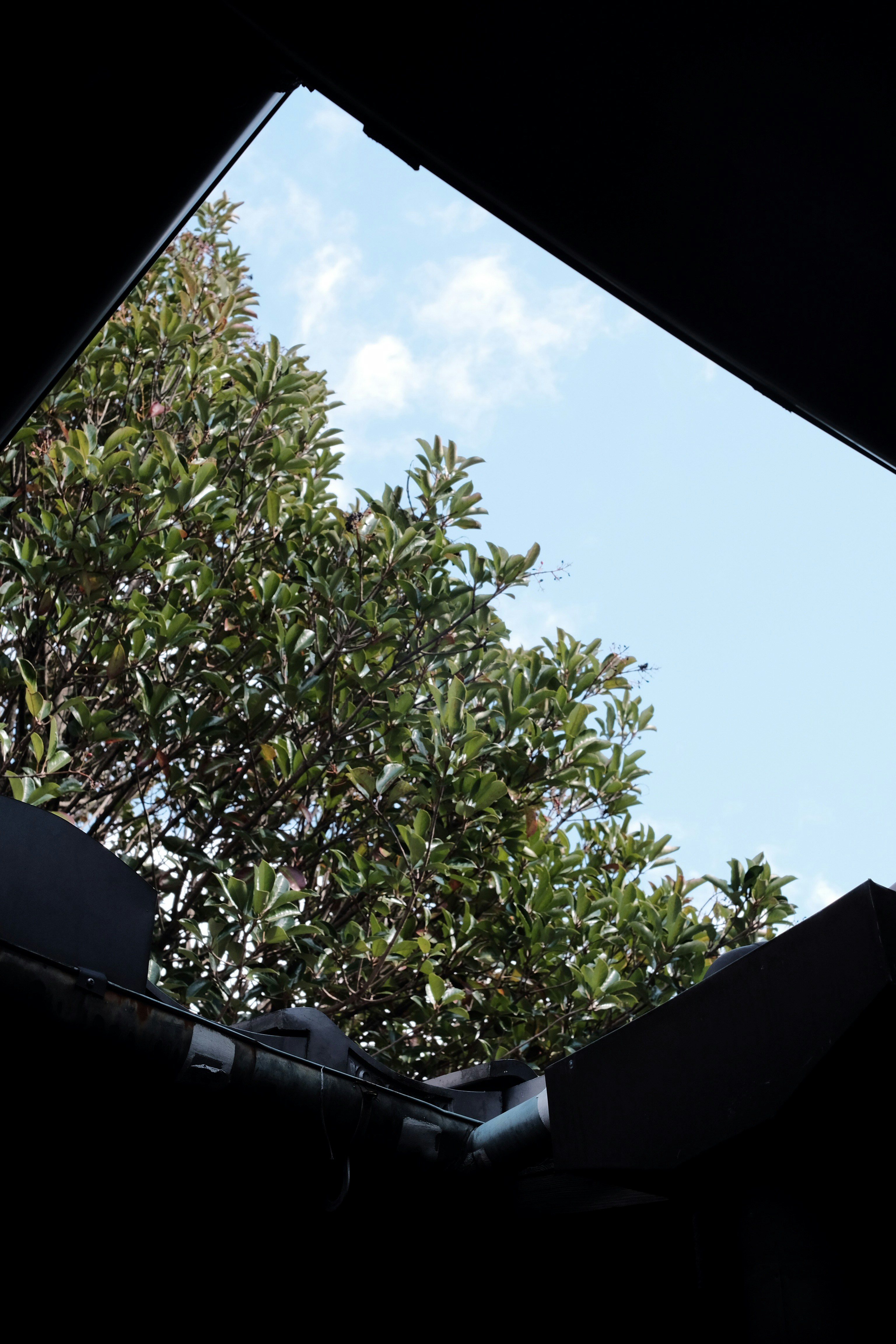 セレッソ 大阪 ユニフォーム ジュニア