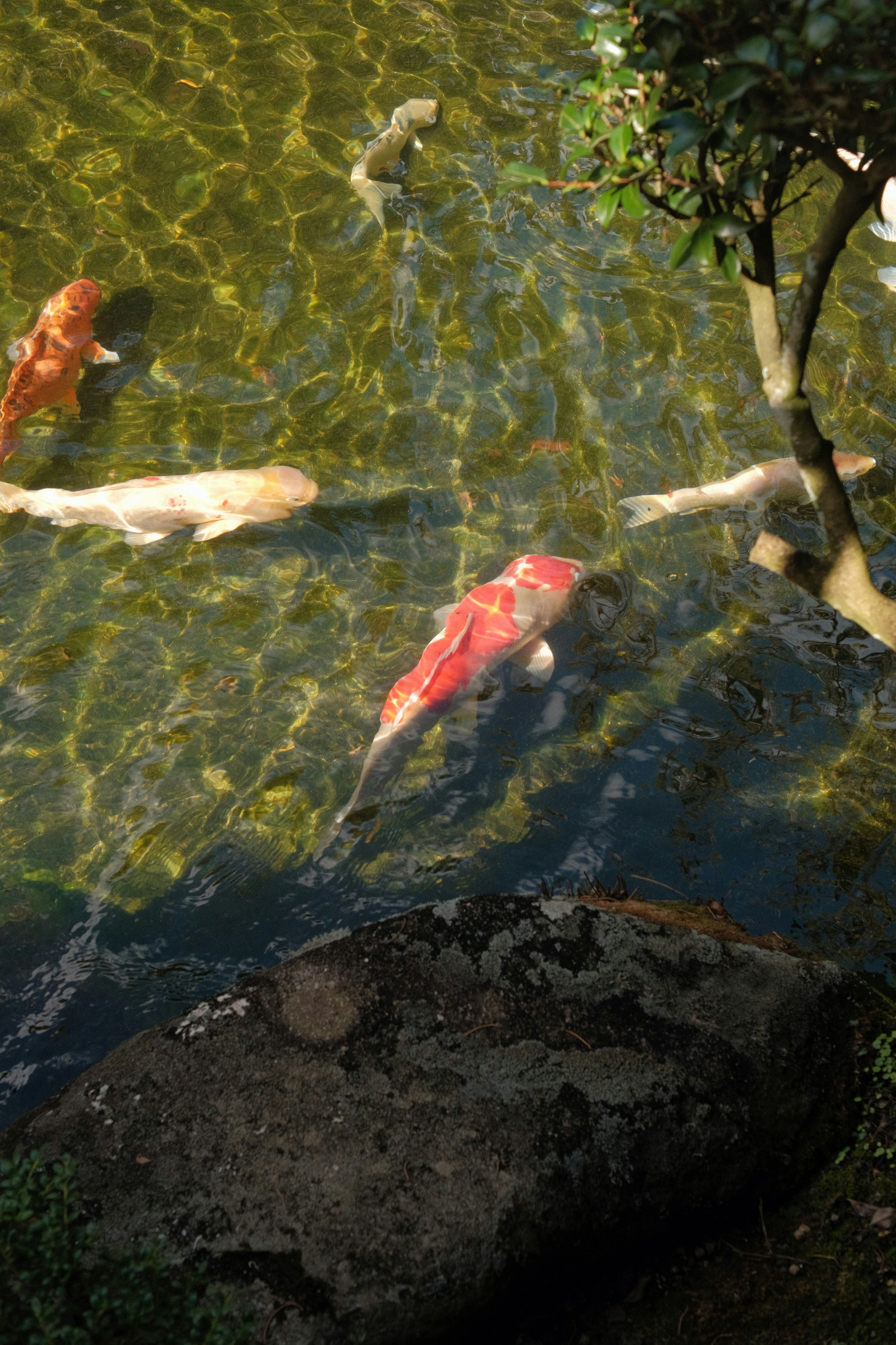 鹿島 アントラーズ ユニフォーム 黒