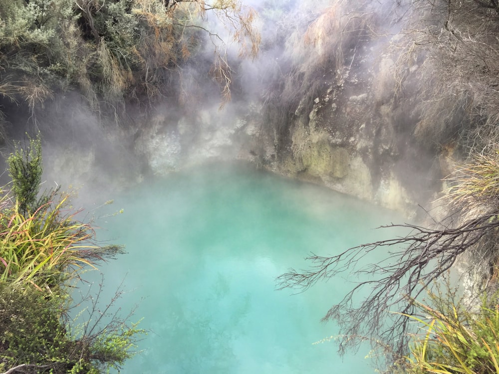 a body of water surrounded by trees and fog