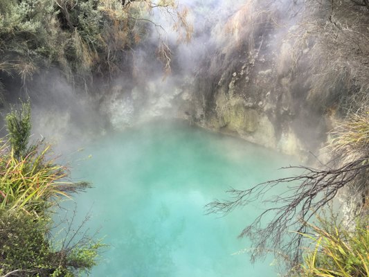 A body of water surrounded by trees and fog — Rotorua, New Zealand