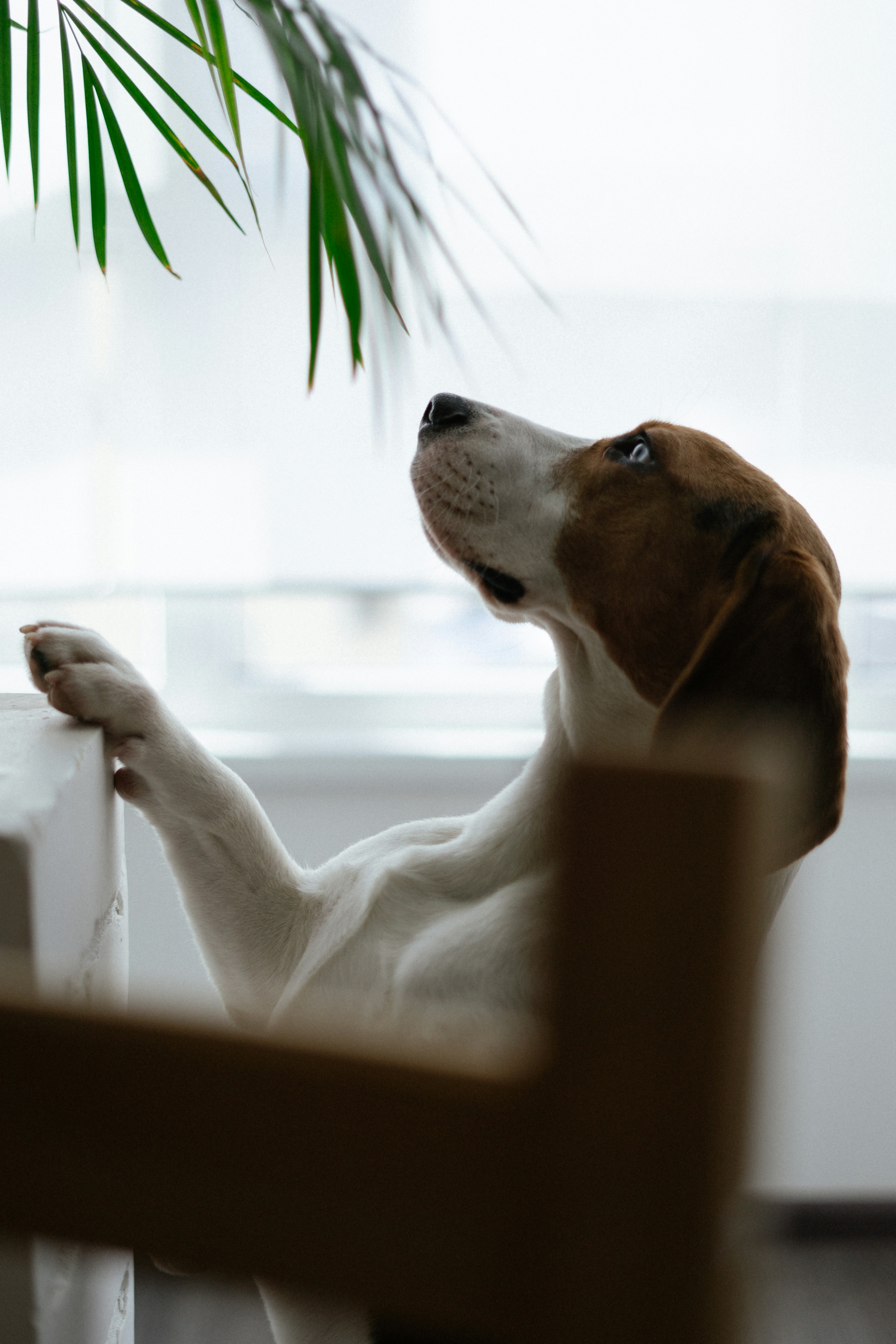 Photo by albina___white