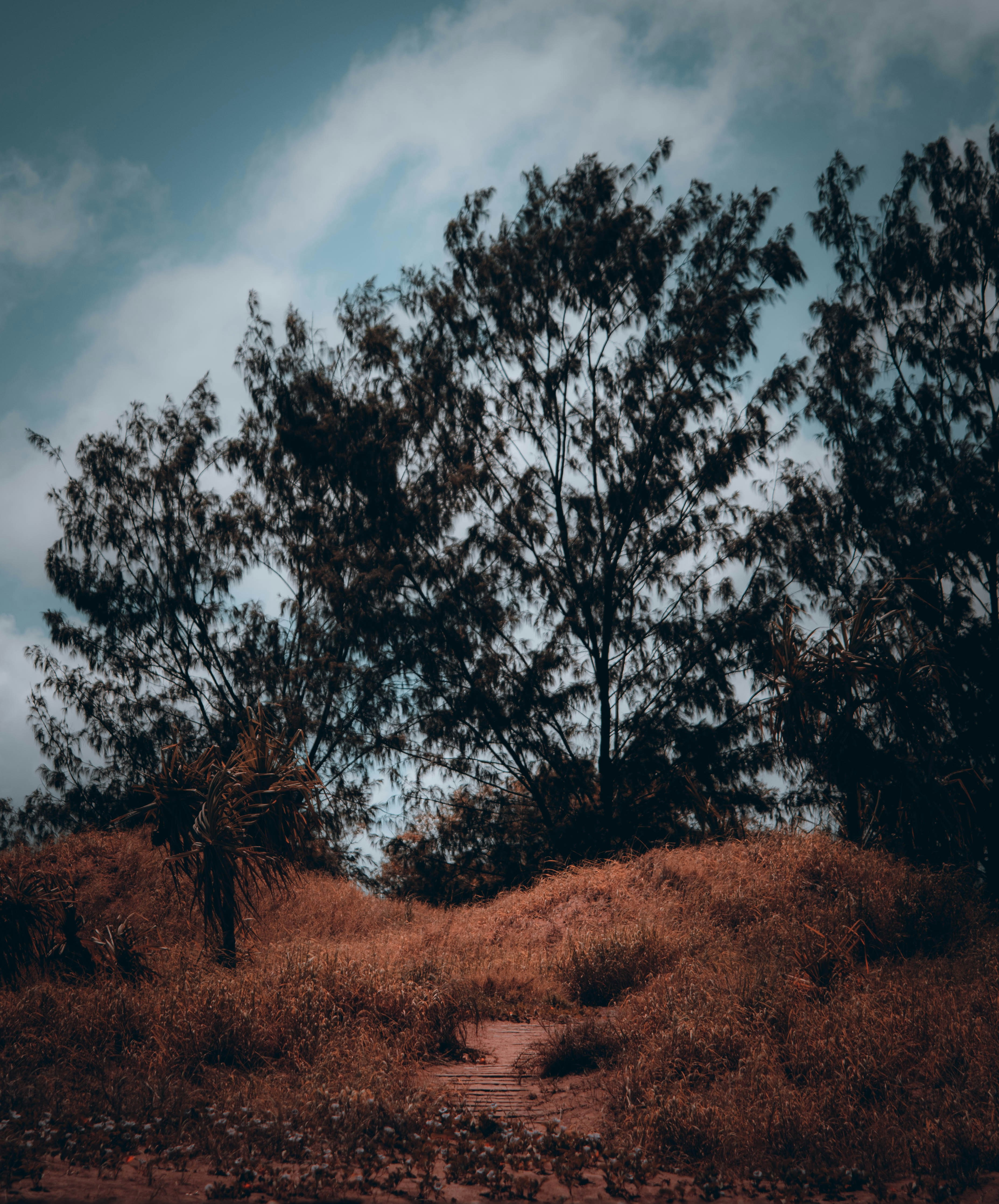 Photo by shot_by_lucid