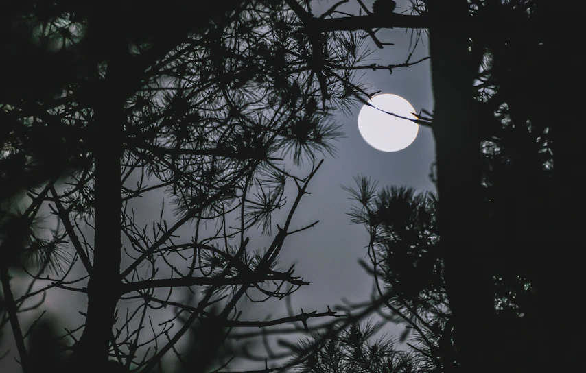 Cover art of 'Moonlit Whispers,' featuring a mysterious cloaked figure under a glowing silver moon.