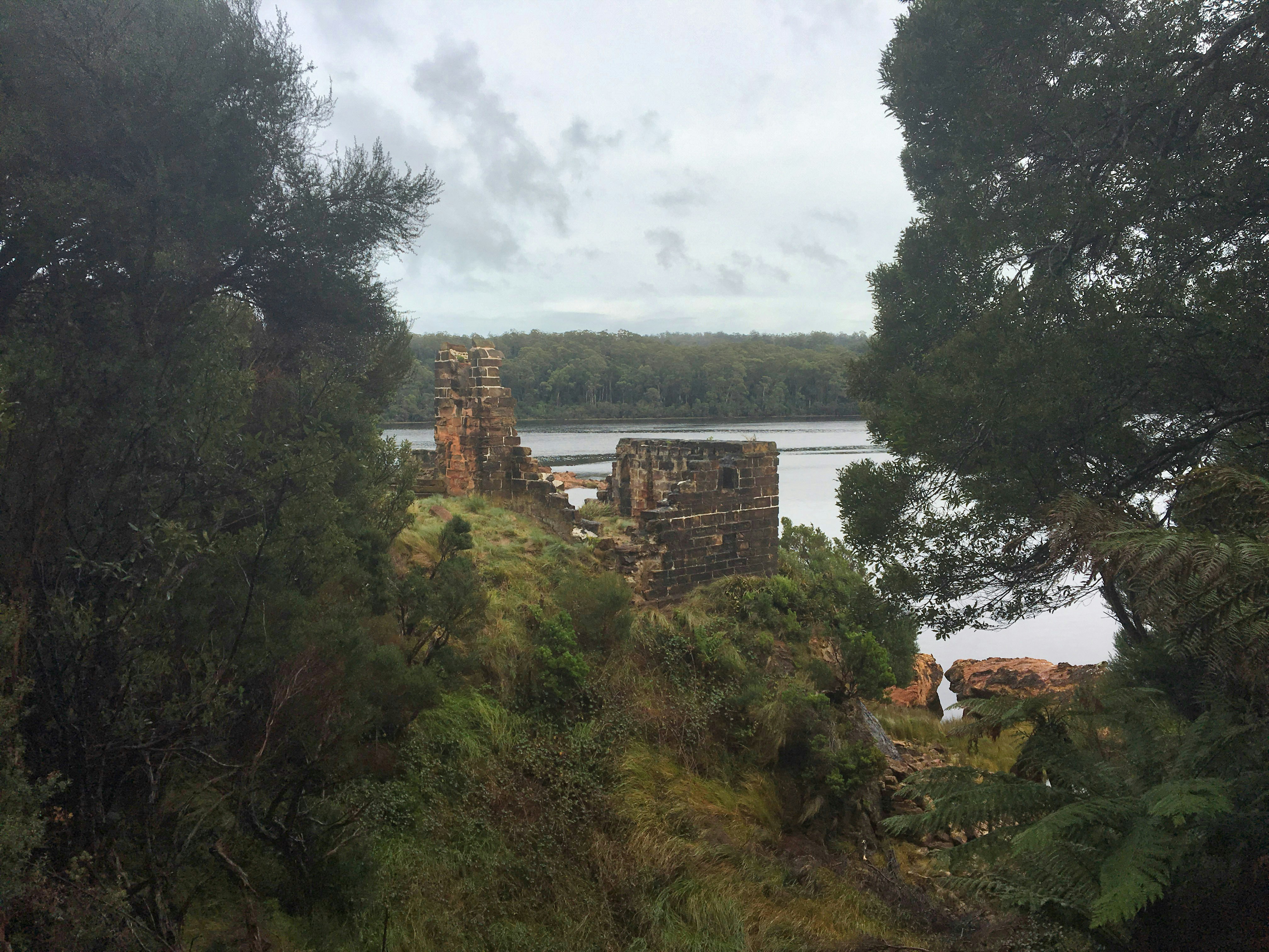 a view of a body of water through some trees