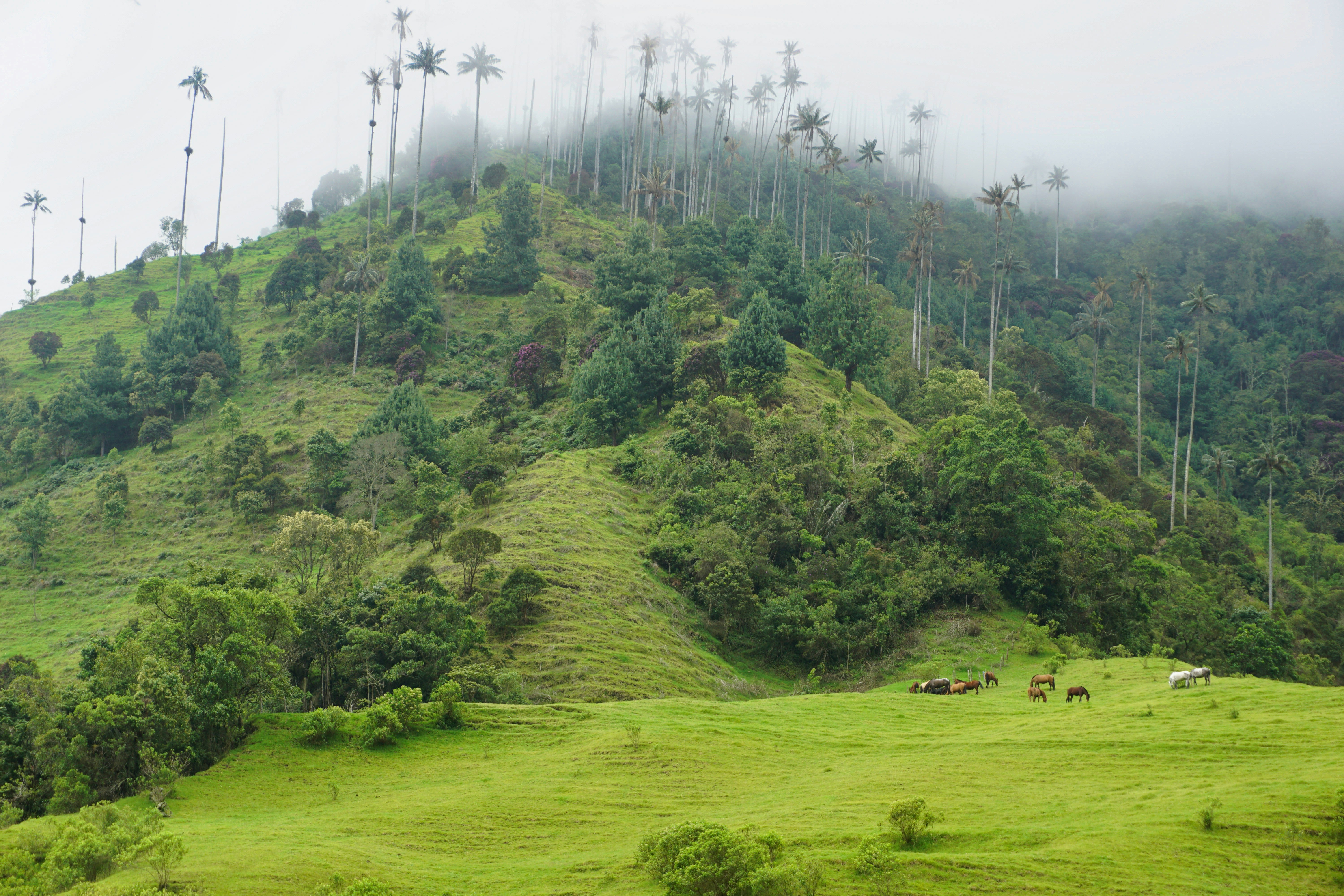 Photo by datingjungle