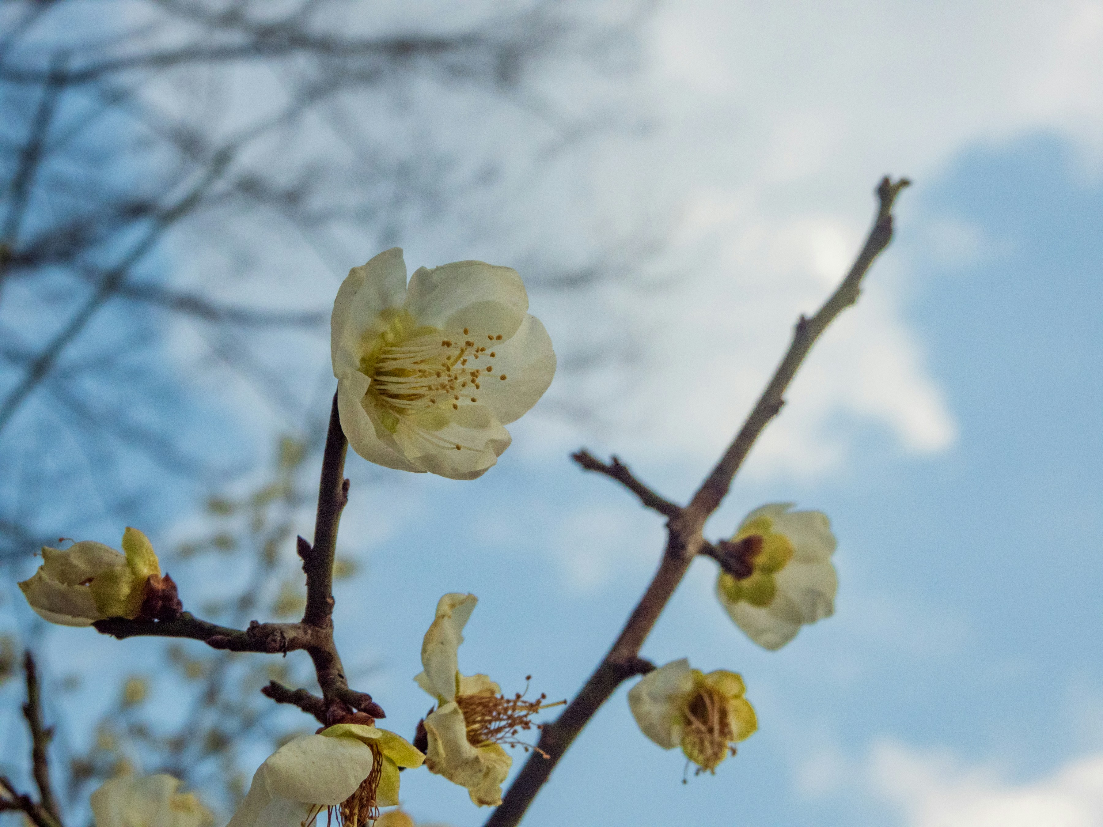 Photo by heppoko_yama