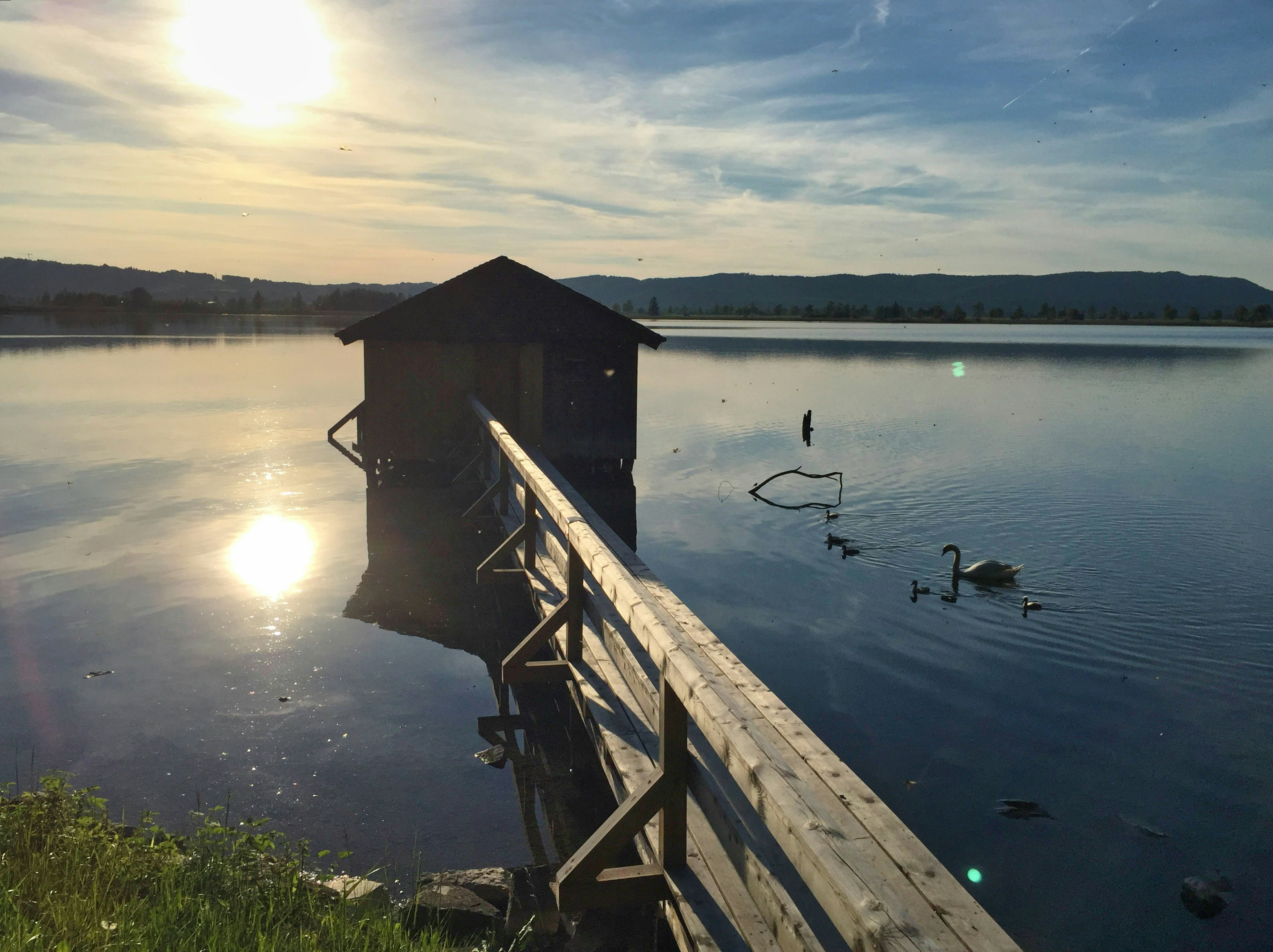 a wooden dock sitting next to a body of water