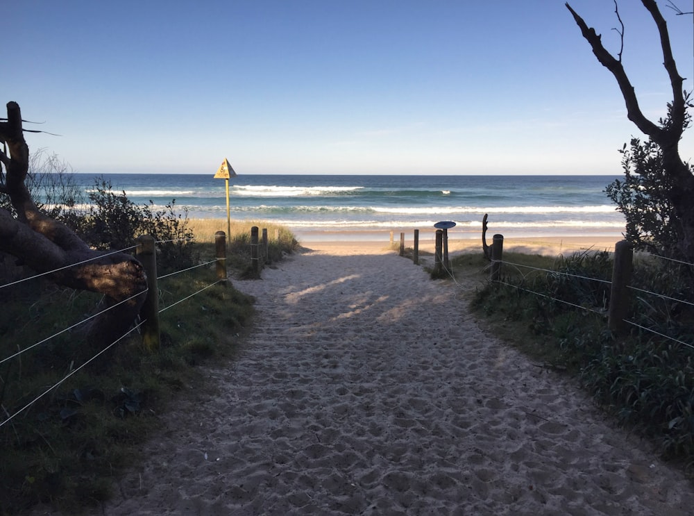 a path to the beach leading to the ocean