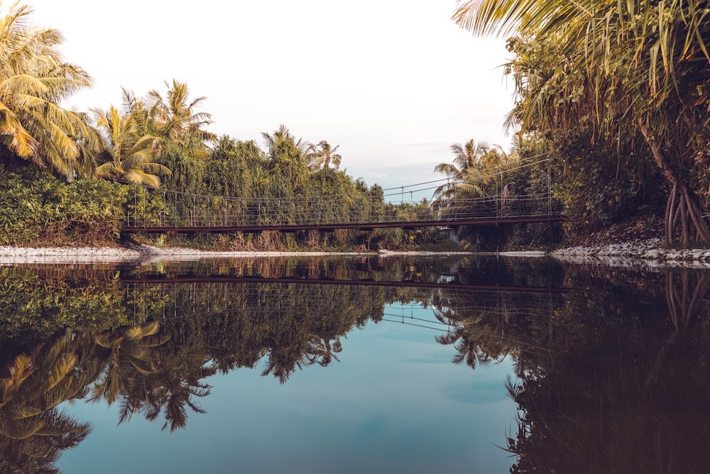 a body of water surrounded by trees and a bridge