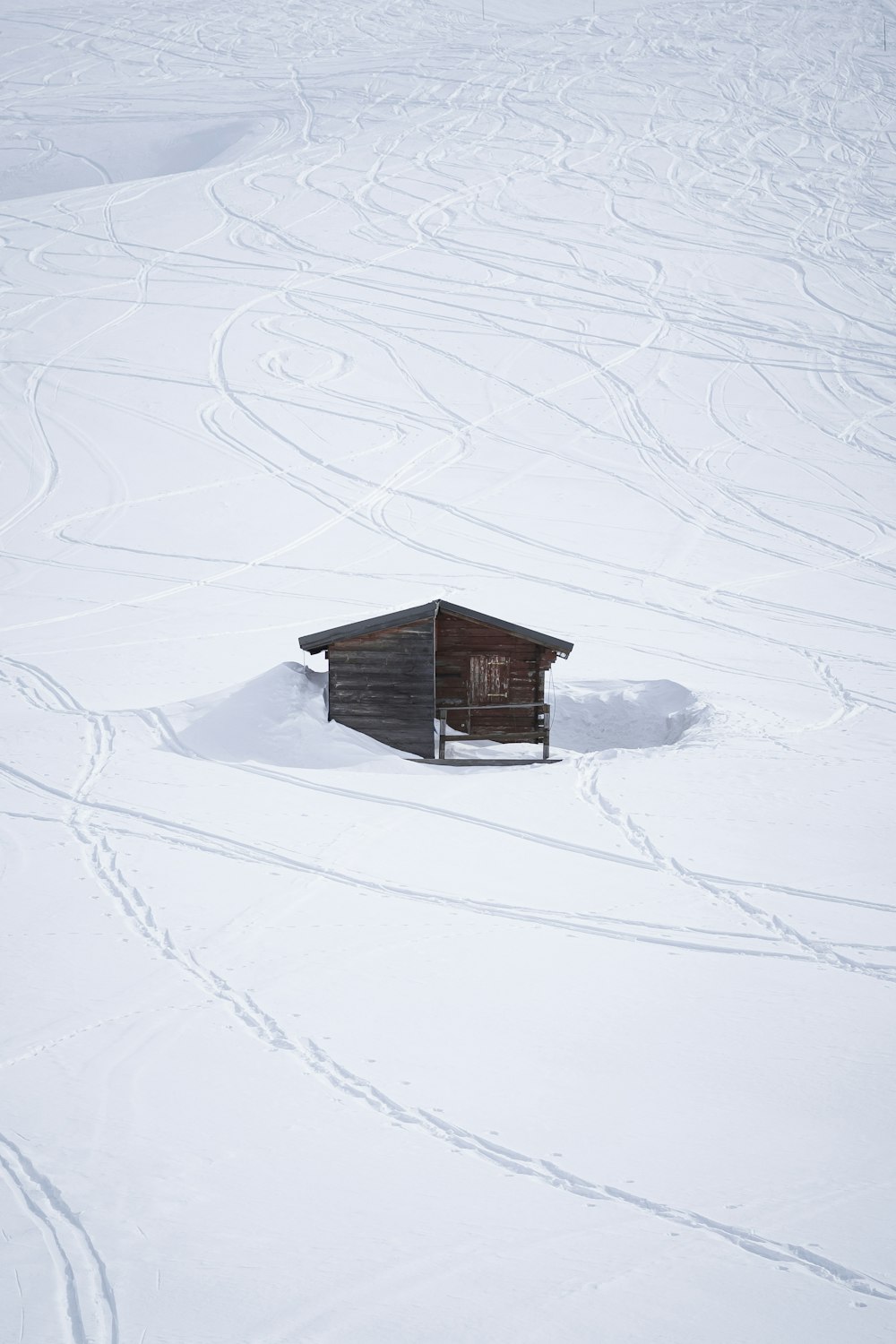 a map of the snow