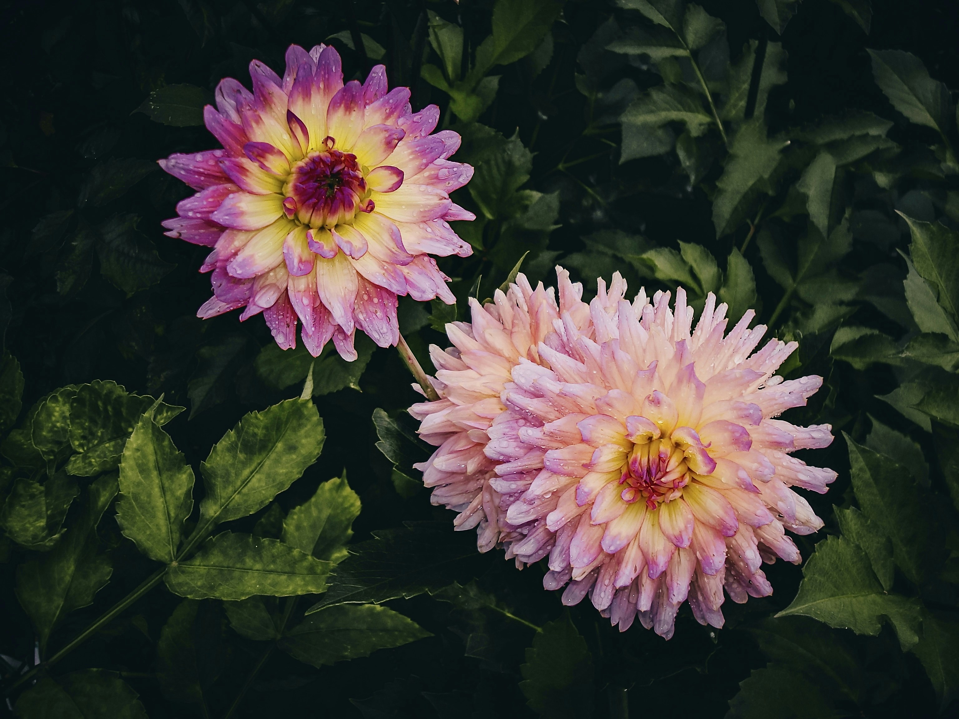 Photo by eugene_golovesov