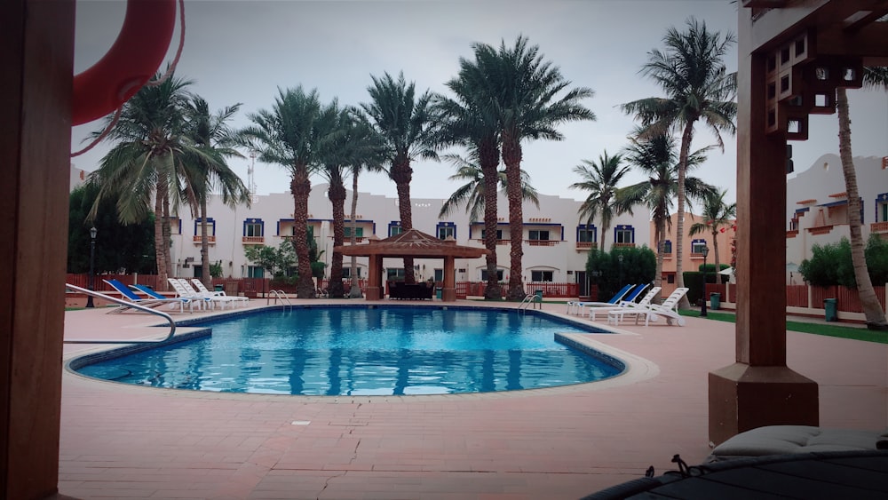 a large swimming pool surrounded by palm trees