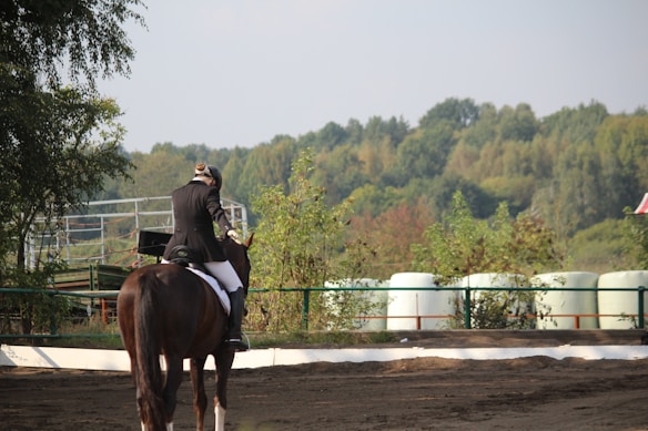 A person dressed in equestrian attire is riding a horse along a dirt path or arena, with a background of lush green trees and some fencing. The setting appears to be outdoors on a sunny day.