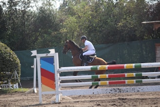 A person in equestrian gear is riding a horse, jumping over colorful obstacles in an outdoor setting. The background features green foliage and a fenced barrier.