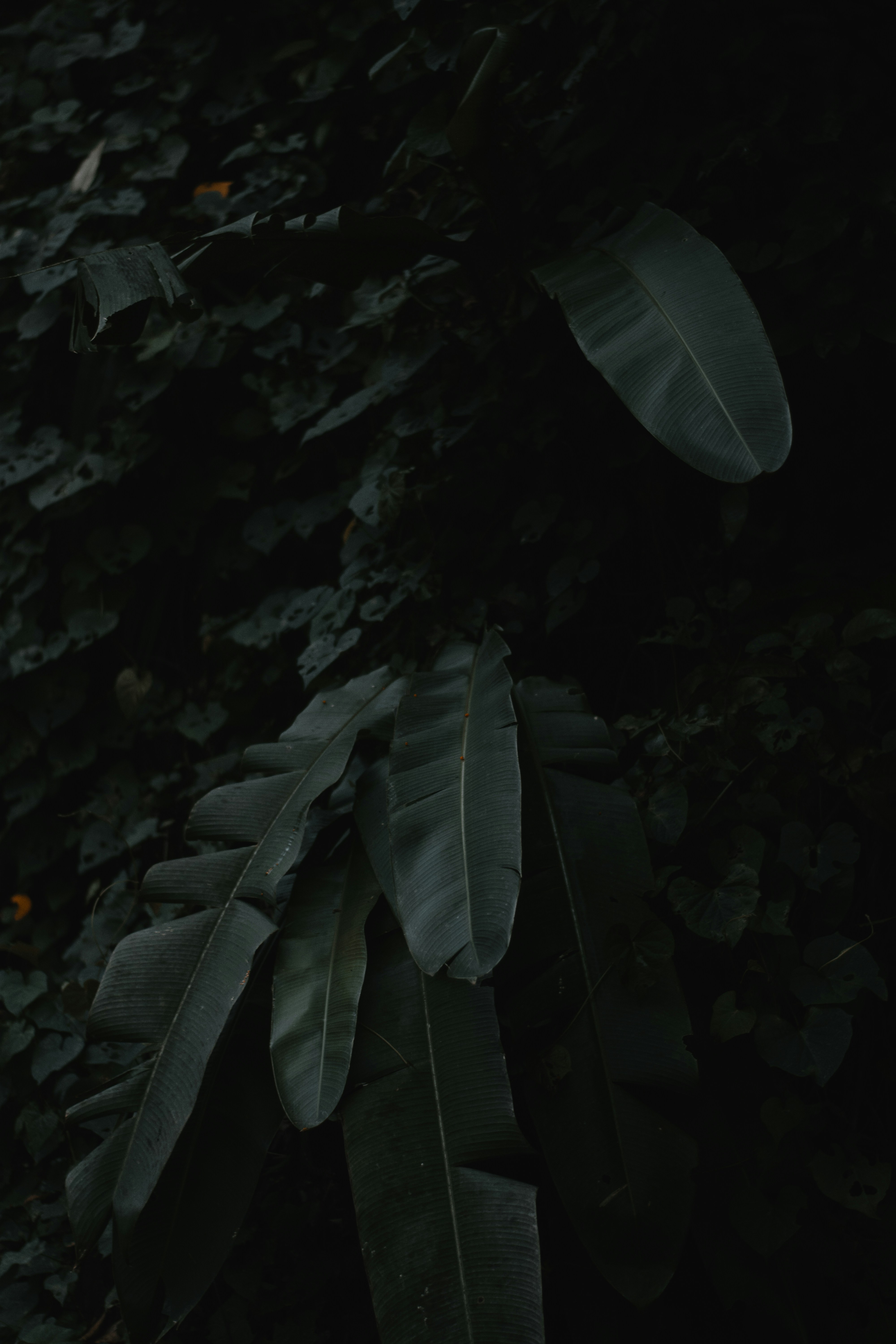 Photo by han_mon_jamon