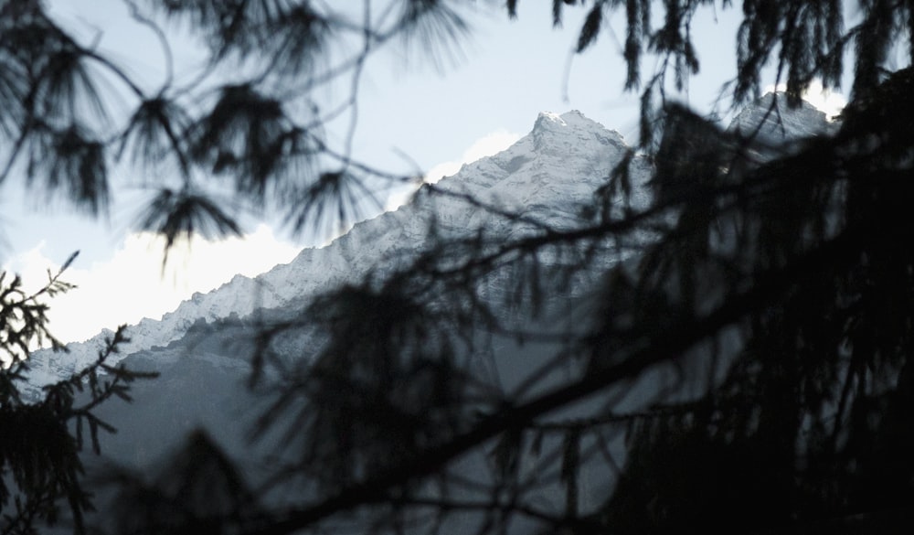 a view of a mountain through the branches of a tree