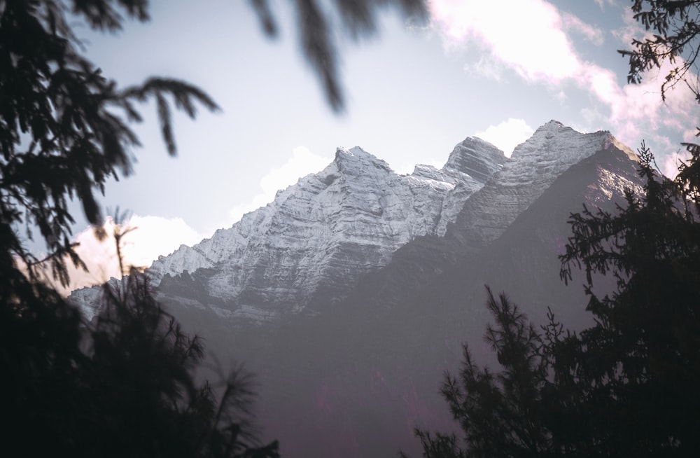 a view of a snow covered mountain through some trees