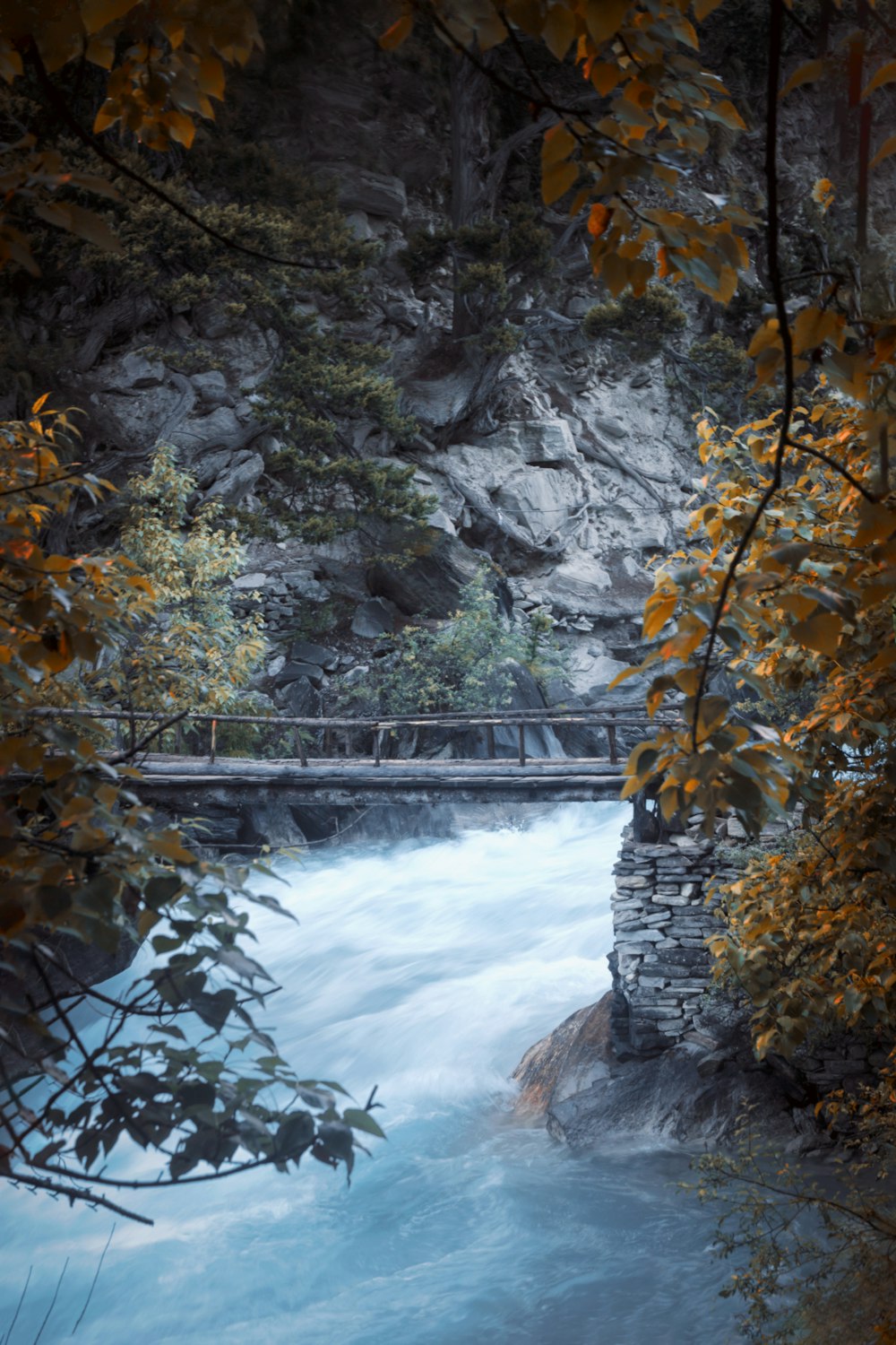 a river flowing under a bridge surrounded by trees