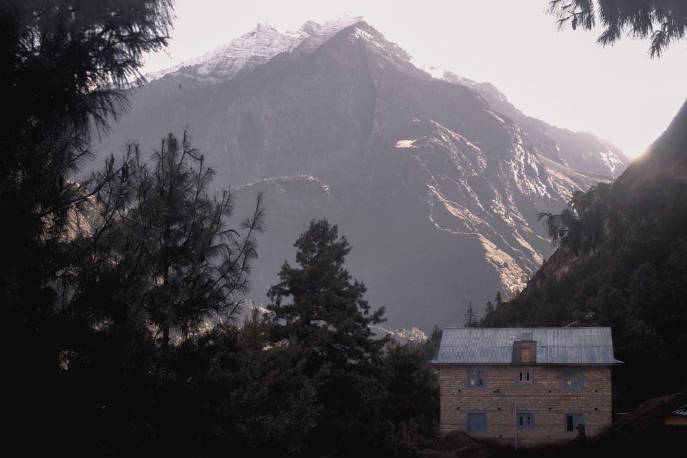 a house in the middle of a forest with a mountain in the background