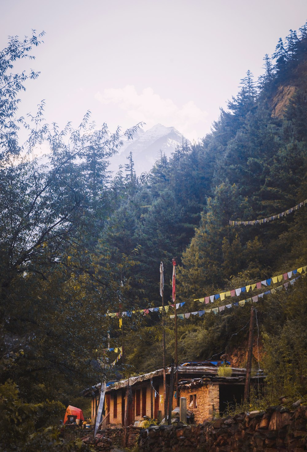 a house in the middle of a forest with a mountain in the background