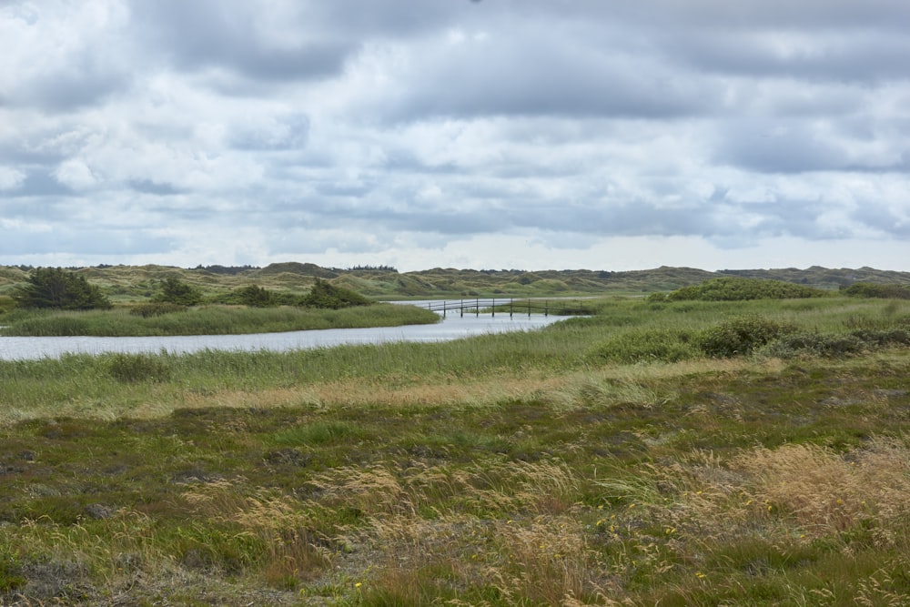 a large body of water surrounded by lush green grass