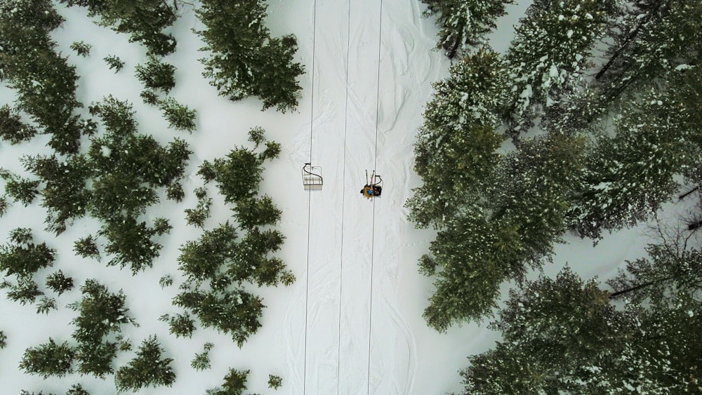 an aerial view of a snow covered forest