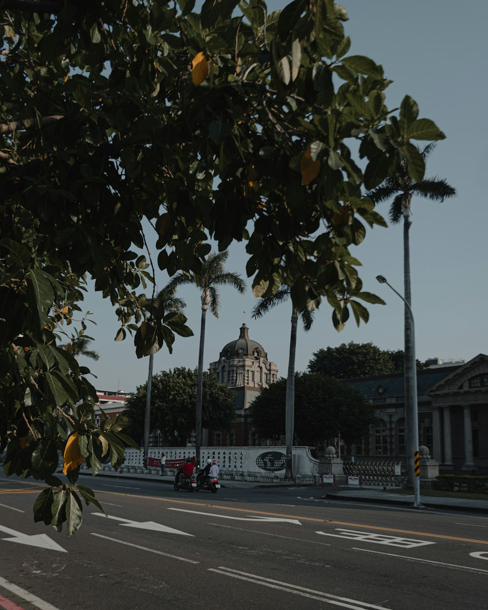 a city street with trees and a building in the background