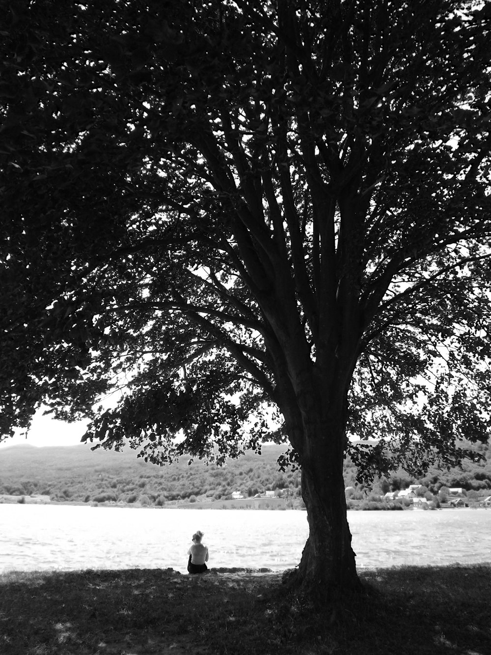 a black and white photo of a person sitting under a tree