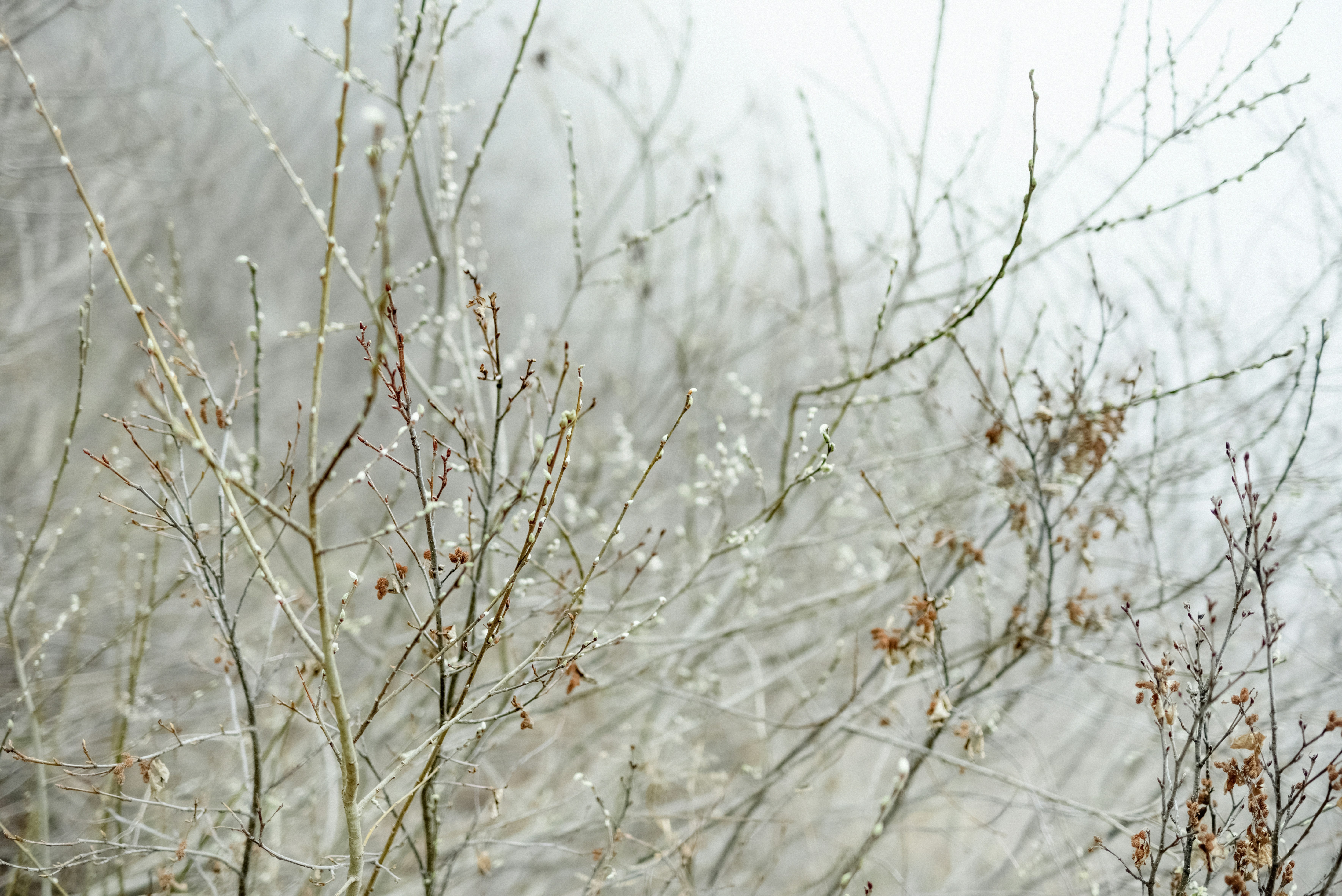 Photo by lauraadaiphoto