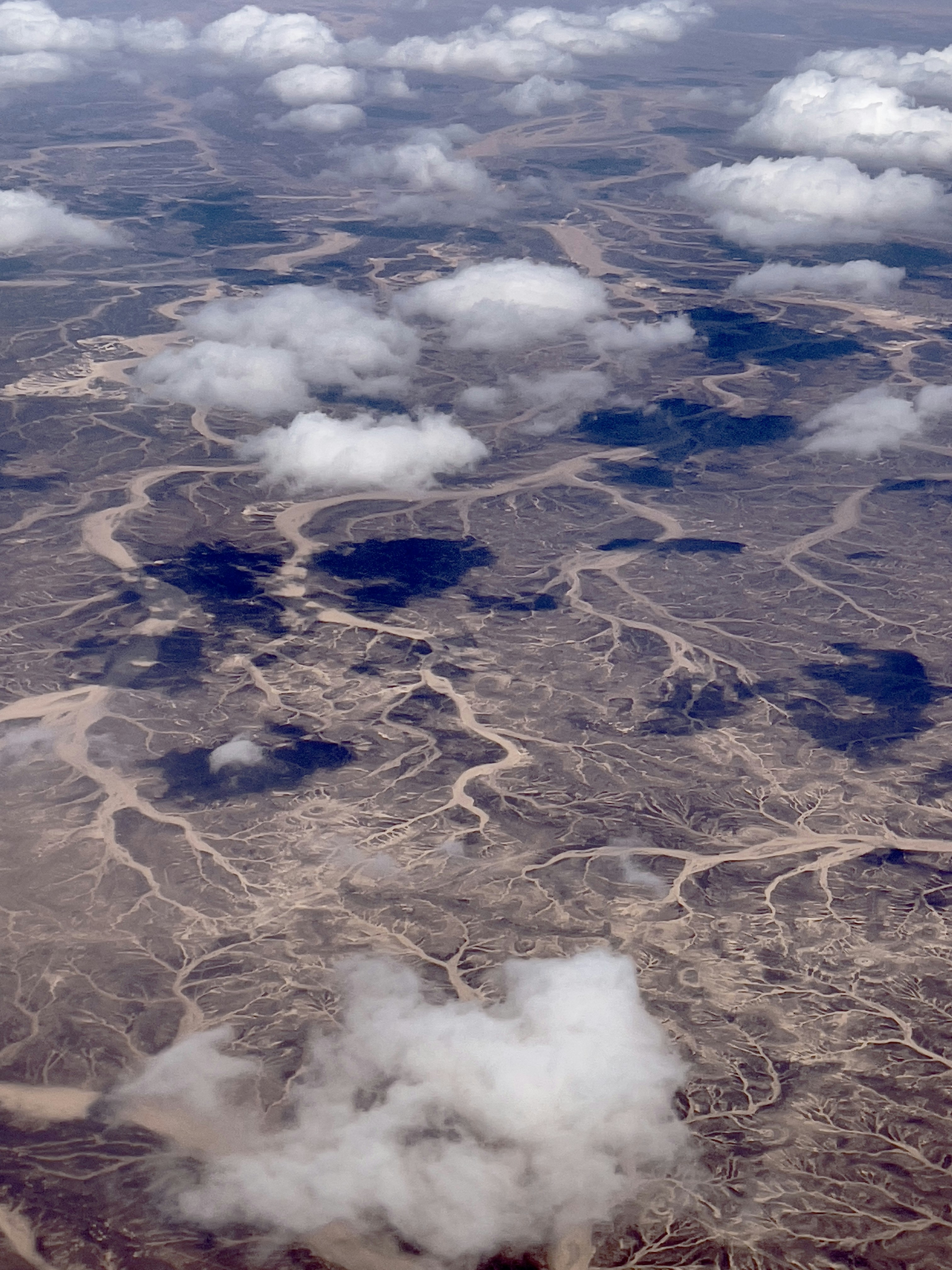 Photo by nurahermano