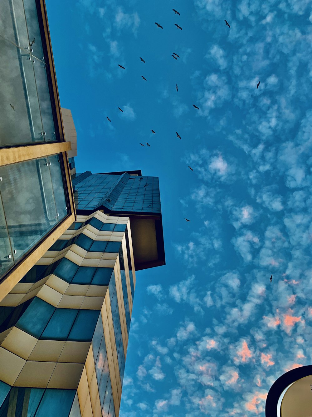 a group of birds flying over a tall building