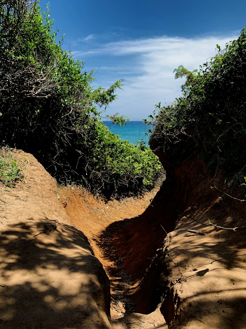 a dirt path that is next to the ocean