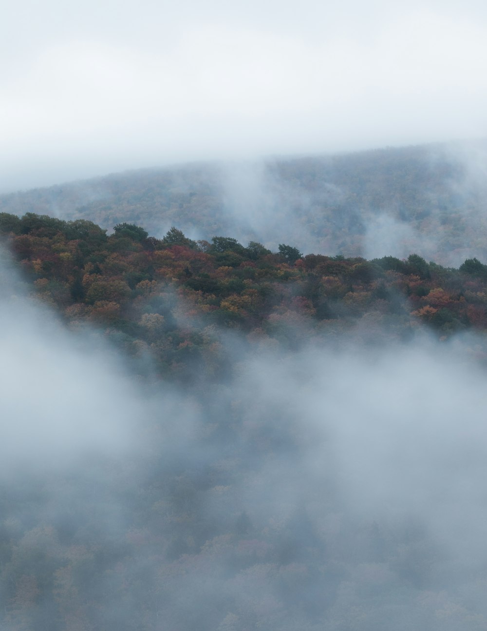 a mountain covered in fog with trees in the background